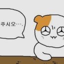 사람 휘트니스 이미지