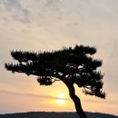 김광훈사무소 네이버블로그