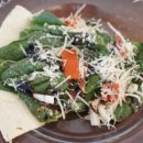 브릭루즈 이미지