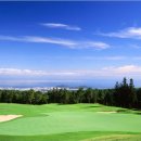 한라산CC 이미지