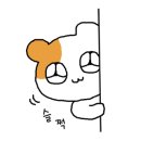매일붐비나 이미지