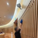 으뜸케어 | (공연장 청소) 경기도 공연장 청소 객석 의자 청소 / 공연장 청소 전문 업체 으뜸 케어 작업 후기
