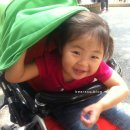 호박PC랜드 이미지