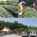 학곡농장 이미지