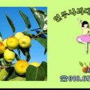 파랑길 농장 이미지