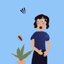 바퀴벌레 퇴치: 방법과 예방책 알아보기 하나방역강원동부지사