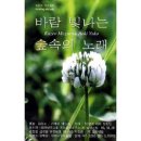 빛나는숲