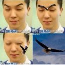 미노 이미지
