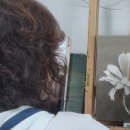 서양화(유화&수채화데생) 이미지