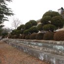 북부초등학교 이미지