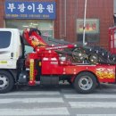 흥부익스프레스 이미지