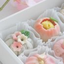 양지한복 이미지