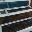 할매전복집 이미지