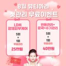 뷰티하리