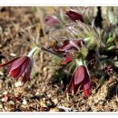 양지할머니 이미지