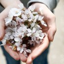 프라임한방병원 이미지