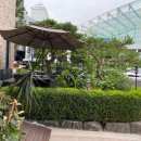 고고동물병원 이미지