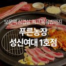 부활농장 | 역 삼겹살] 삼선동 맛집 인정! 된장찌개가 무한리필인 성신여대입구역 고기집 : 푸른농장 성신여대1호점