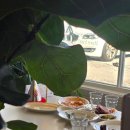 모임의집 이미지