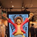 D00109 | [일본 자유여행] 시부야에서 특별한 하루 보내기 Feat. 덕후투어 여행지 추천 (점프샵, 포켓몬센터 등)