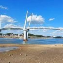 충남 태안 여행 태안 드르니항 꽃게다리 해변길 볼거리 이미지