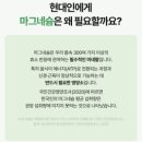 스트레스편한데이 후기, 테아닌 홍경천으로 시작한 스트레스 관리 루틴