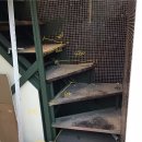 1512 | 미용실데코타일 서울 고려대 안암역 앞 미용실 유니데코 1512번 2763번 교차시공 후기