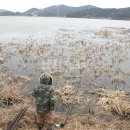 지정낚시터 이미지