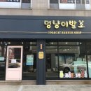 멍냥이발소 이미지