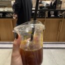 맥도날드(연대점) 개방화장실 | [이집트 여행] 카이로 이집트 대박물관(GEM) 후기 (Gen discovery challenge 후기)