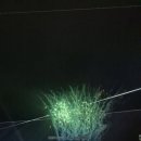 [공지] 한화이글스 독수리날다-대전한화생명볼파크 현장속으로 (3.5)