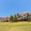 상당산성 이미지