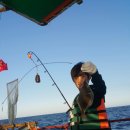 스타펜션앤민박 이미지