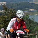 파랑새2 이미지