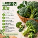 ◇ 의사들이 챙긴다는 '항암식품 1~3位' ◇ 이미지