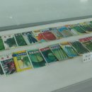 환국농장 이미지