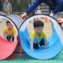 남한산초등학교 병설유치원 이미지