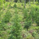 동해시-44 이미지