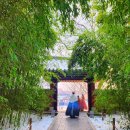전주한옥마을숙박 코자스테이 | 전주 숙소 한옥마을 게스트하우스1박2일 감성숙박추천