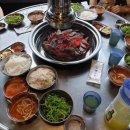 수상한돼지 티스토리
