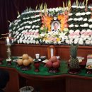 완도대성병원 이미지