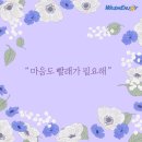 워시엔조이 이미지