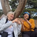 올레 한겨레
