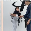 미르 태권도 이미지
