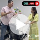 아라쇼핑