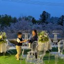 륜 | 대구 수성못 륜 한식 코스요리, 금목서 후기