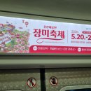 5월21일 (목) 울산대공원 장미축제 이미지