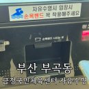 국민체육센터 | 부산 금정국민체육센터 자유수영 후기 주말 가격 주차 총정리