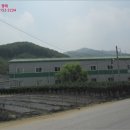 소로3-287 네이버블로그