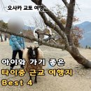 김가오가 | 타이중 근교 여행지 추천 일월담 칭징농장 가오메이 습지 직접 다녀온 후기 (아이와 가기 좋은 코스)